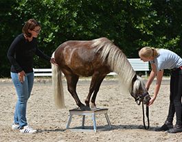 Katrin Obst Katrin Obst
